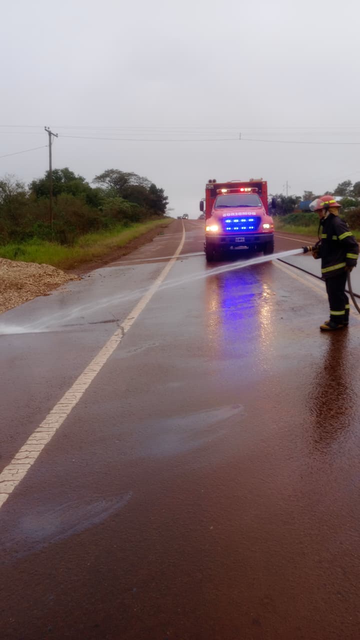 Volcó un camión sobre la Ruta 14 2